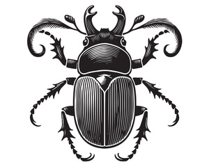 Beetle 1.eps