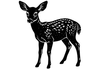Roe Deer Fawn in front of a white background vector illustration