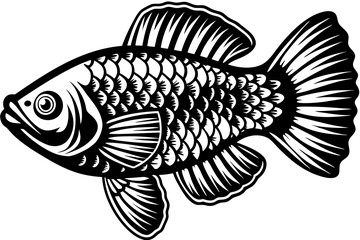 illustration of a fish