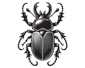 Beetle 18.eps