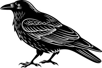 illustration of a bird