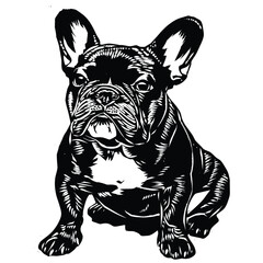 Detailed French Bulldog head illustration in black and white.