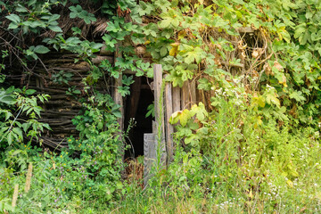 Old wooden building overgrown with green vegetation. Rundown exterior. Aged wooden construction.
