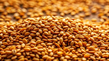 Obraz premium Panoramic View of Roasted Sesame Seeds, Golden Brown and Aromatic