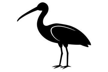 black crowned crane