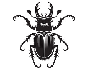 Beetle 23.eps