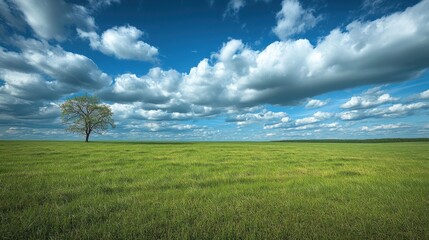 Vast empty field with lone tree under dramatic sky