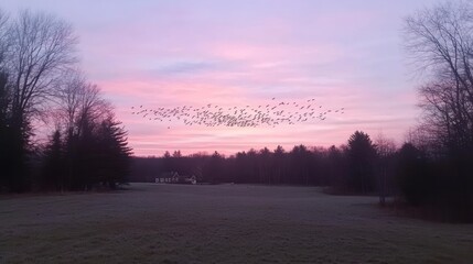 A serene landscape at dawn with birds flying across a colorful sky.