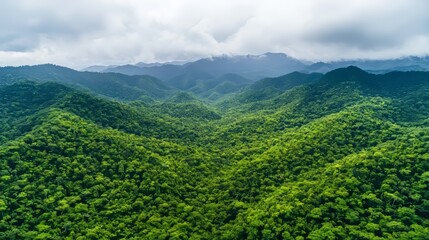 Fototapeta premium Representation of ecosystem and healthy ecological environment concepts