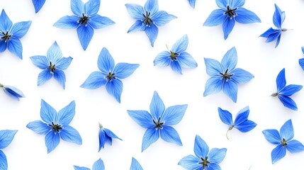 Blue flowers pattern on white background, flat lay, nature design, ideal for website banners.