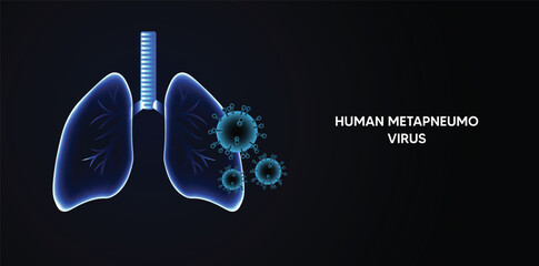 glowing lung with Human Metapneumovirus virus vector poster