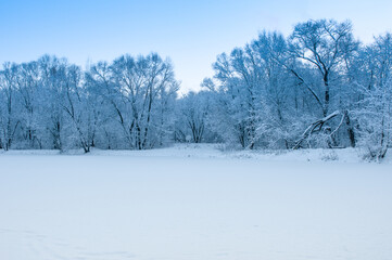 Landscape with frozen lake coast. Tranquil winter scenery