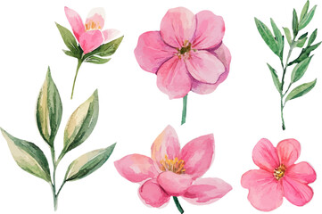 set of pink and white flowers