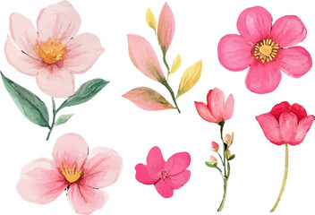 collage of pink and white flowers