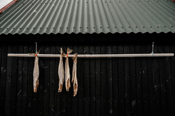 fish preservation in the outside to get it dry