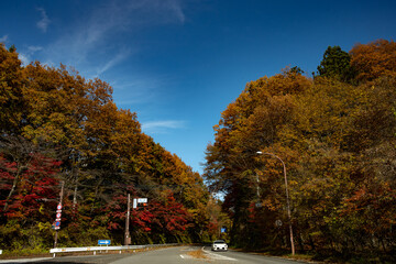 Fall in Japan