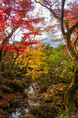Colorful Autumn