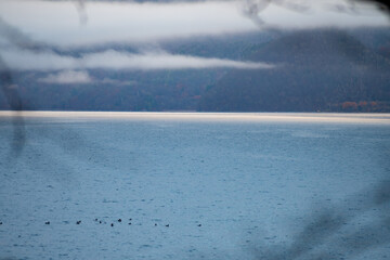Fog on Water (2)