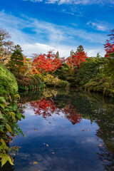 Autumn in Japan