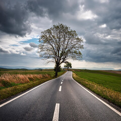 Fototapeta premium Cycling Road with a single tree on a cloudy day