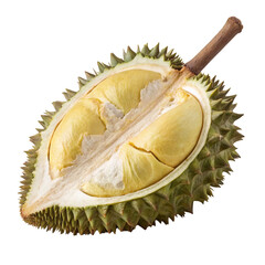 Naklejka premium durian isolated 
