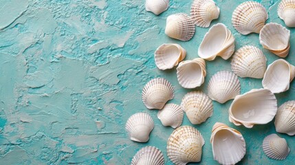 White shells on a turquoise surface.
