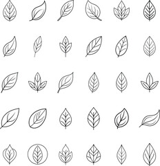 Simple Line Art Botanical Leaf Illustrations Nature Design Elements