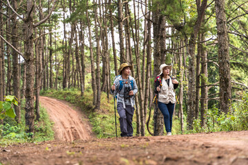 Fototapeta premium Asian man and woman hikers with hiking poles walking on dirt trail in national forest