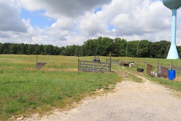 landscape with fence