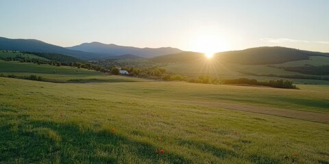 Fototapeta premium Vast poppy field under the glow of a setting sun, casting long shadows and creating a harmonious blend of warm colors and tranquility.