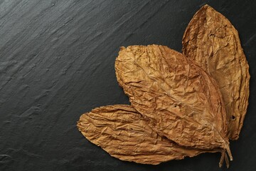Dried tobacco leaves on black table, flat lay. Space for text