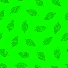 leaves seamless pattern background. tea leaf pattern. leaves pattern background. seamless patterns with leaves background