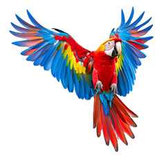 Fototapeta premium Colorful parrot flying over a tropical landscape