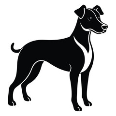 vector black and white dog