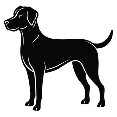 vector black and white dog