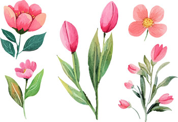 Obraz premium bouquet of pink tulips