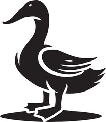 silhouette of duck
