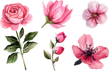 Fototapeta premium set of pink flowers