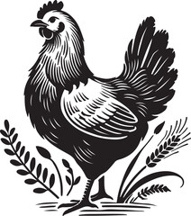 rooster isolated on white