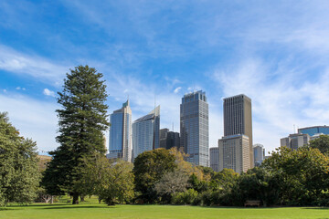 Gazebo in Sydney Royal botanic garden in front of Sydney buildings skyline in Australia