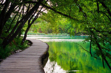 river in the park