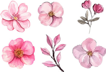 set of pink and white flowers