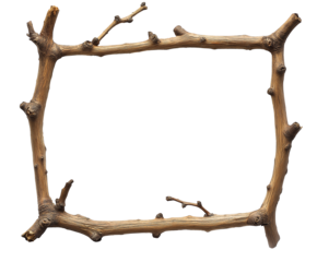weathered old wood frame craft from twig branch, dried wooden art picture frame, cutout png