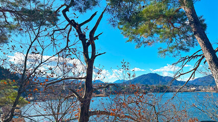 木々の間から見える河口湖　日本　山梨県富士河口湖町　日本観光スポット