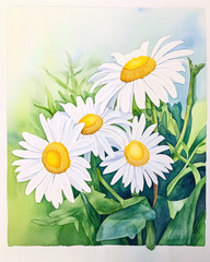 Flowers symbolize love and friendship concept. Beautiful watercolor illustration of white daisies with vibrant yellow centers.