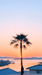 Silhouette woman watching sunrise behind palm tree, harbor background, travel postcard.