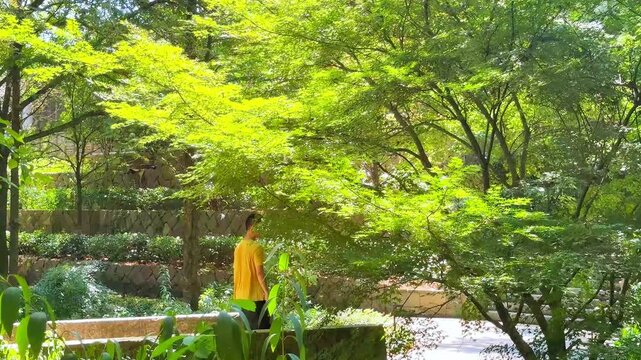 The scenery of the ancient garden hotel in Shaoxing City, Zhejiang Province