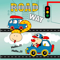 roadway with cute animal illustration driving a car