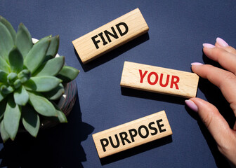 Find your Purpose symbol. Wooden blocks with words Find your Purpose. Businessman hand. Beautiful...