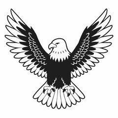 Obraz premium eagle with wings
